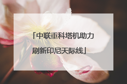 中联重科塔机助力刷新印尼天际线