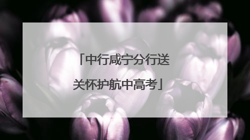 中行咸宁分行送关怀护航中高考