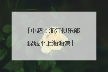 中超：浙江俱乐部绿城平上海海港
