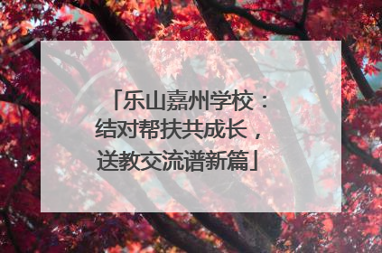 乐山嘉州学校：结对帮扶共成长，送教交流谱新篇