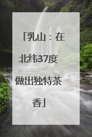 乳山：在北纬37度做出独特茶香