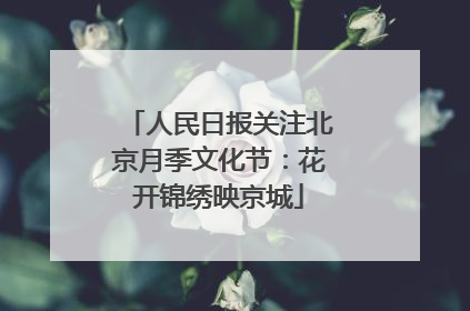 人民日报关注北京月季文化节：花开锦绣映京城