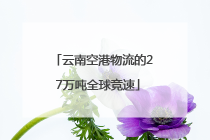 云南空港物流的27万吨全球竞速