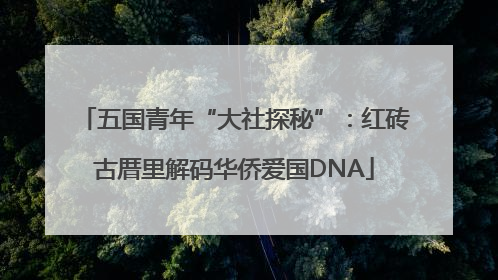 五国青年“大社探秘”：红砖古厝里解码华侨爱国DNA