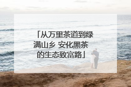从万里茶道到绿满山乡 安化黑茶的生态致富路