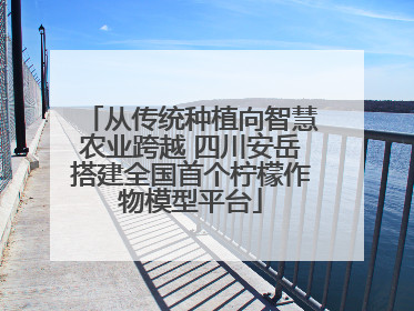 从传统种植向智慧农业跨越 四川安岳搭建全国首个柠檬作物模型平台