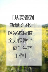 从麦香到新绿 沾化区富源街道全力保障“三夏”生产工作