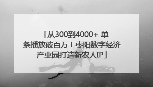 从300到4000+ 单条播放破百万！枣阳数字经济产业园打造新农人IP