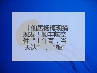 仙居杨梅现摘现发！顺丰航空件“上午寄，当天达”，“梅”好送到家！