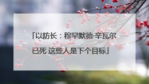 以防长：穆罕默德·辛瓦尔已死 这些人是下个目标
