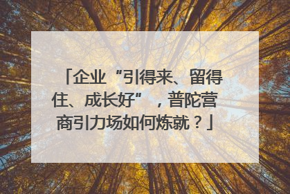 企业“引得来、留得住、成长好”，普陀营商引力场如何炼就？