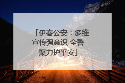 伊春公安：多维宣传强意识 全警聚力护平安