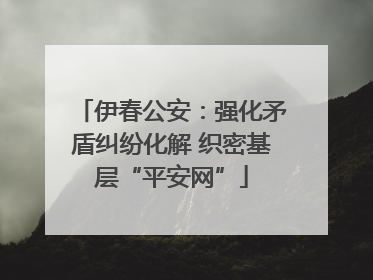伊春公安：强化矛盾纠纷化解 织密基层“平安网”