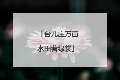 台儿庄万亩水田着绿裳