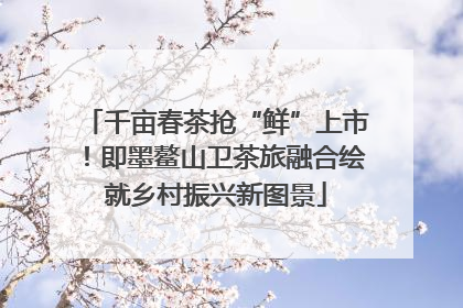 千亩春茶抢“鲜”上市！即墨鳌山卫茶旅融合绘就乡村振兴新图景