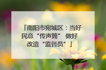南阳市宛城区：当好民意“传声筒” 做好改造“监督员”