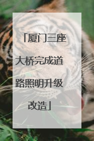 厦门三座大桥完成道路照明升级改造