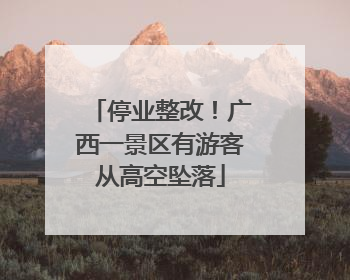 停业整改！广西一景区有游客从高空坠落
