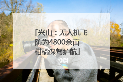 兴山：无人机飞防为4800余亩柑橘保驾护航