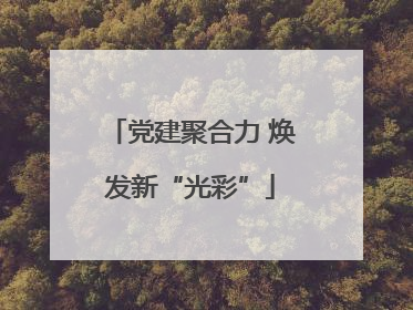 党建聚合力 焕发新“光彩”