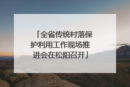 全省传统村落保护利用工作现场推进会在松阳召开