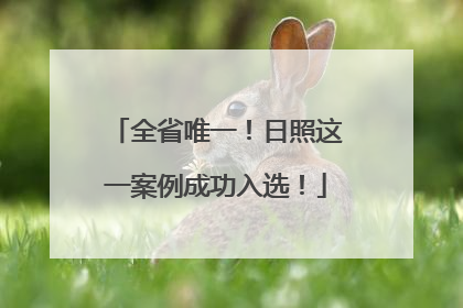 全省唯一！日照这一案例成功入选！