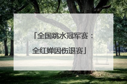 全国跳水冠军赛：全红婵因伤退赛