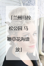 兰州马拉松公园 马鞭草花海盛放