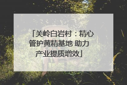 关岭白岩村：精心管护黄精基地 助力产业提质增效