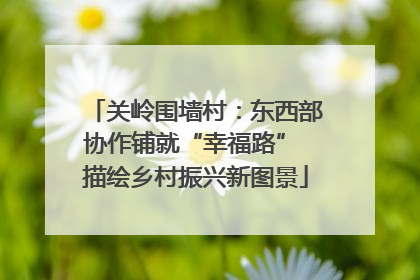 关岭围墙村：东西部协作铺就“幸福路” 描绘乡村振兴新图景