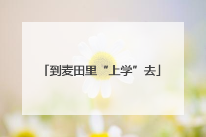到麦田里“上学”去