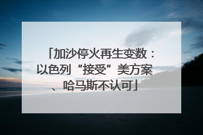 加沙停火再生变数：以色列“接受”美方案、哈马斯不认可