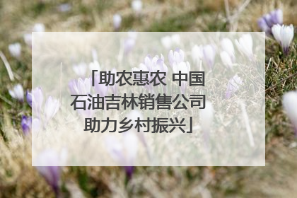 助农惠农 中国石油吉林销售公司助力乡村振兴