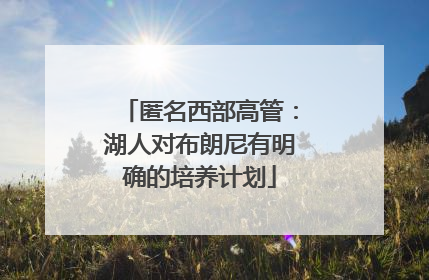 匿名西部高管：湖人对布朗尼有明确的培养计划