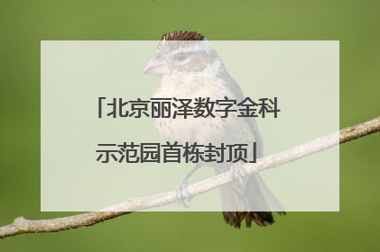 北京丽泽数字金科示范园首栋封顶