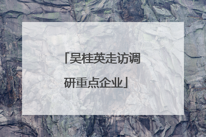 吴桂英走访调研重点企业