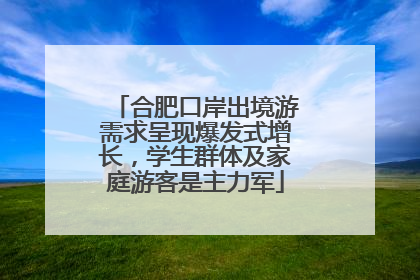合肥口岸出境游需求呈现爆发式增长，学生群体及家庭游客是主力军
