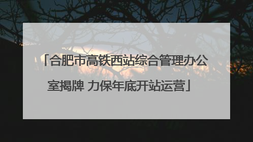 合肥市高铁西站综合管理办公室揭牌 力保年底开站运营
