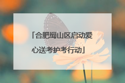 合肥蜀山区启动爱心送考护考行动