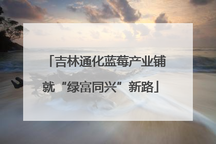 吉林通化蓝莓产业铺就“绿富同兴”新路