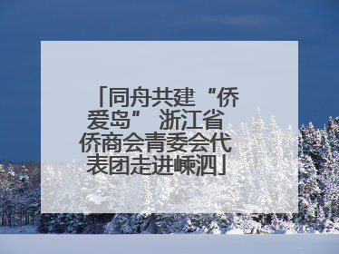 同舟共建“侨爱岛” 浙江省侨商会青委会代表团走进嵊泗