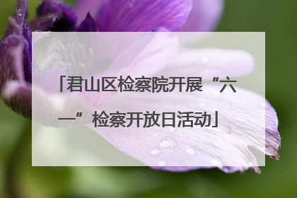 君山区检察院开展“六一”检察开放日活动
