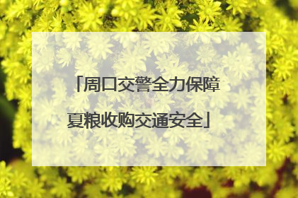 周口交警全力保障夏粮收购交通安全