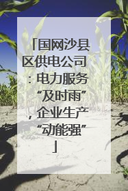 国网沙县区供电公司：电力服务“及时雨”，企业生产“动能强”