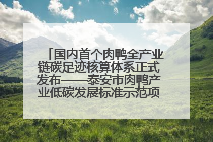 国内首个肉鸭全产业链碳足迹核算体系正式发布——泰安市肉鸭产业低碳发展标准示范项目顺利通过验收