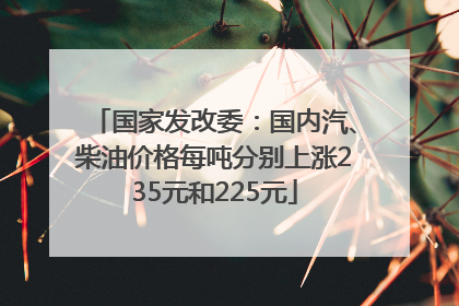 国家发改委：国内汽、柴油价格每吨分别上涨235元和225元