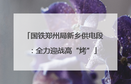 国铁郑州局新乡供电段：全力迎战高“烤”