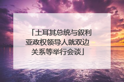 土耳其总统与叙利亚政权领导人就双边关系等举行会谈