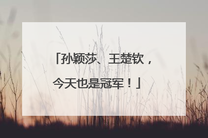 孙颖莎、王楚钦，今天也是冠军！