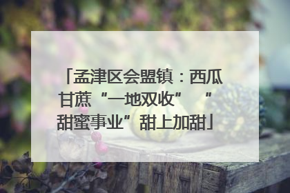 孟津区会盟镇：西瓜甘蔗“一地双收” “甜蜜事业”甜上加甜